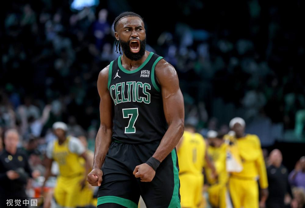 整体杠杆参 整体杠杆参